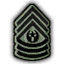 File:Cmdsgtmaj1.jpg