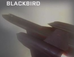 blackbird